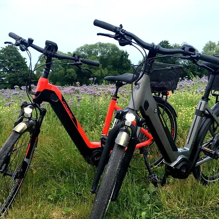 Luxuszelt Historischer Zirkuswagen Mit Terrasse Und Blick Ins Grüne Witzenhausen