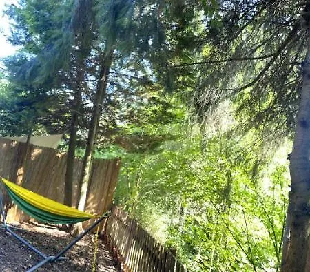 Historischer Zirkuswagen Mit Terrasse Und Blick Ins Grüne Luxuszelt
