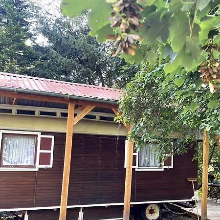 Luxuszelt Historischer Zirkuswagen Mit Terrasse Und Blick Ins Grüne