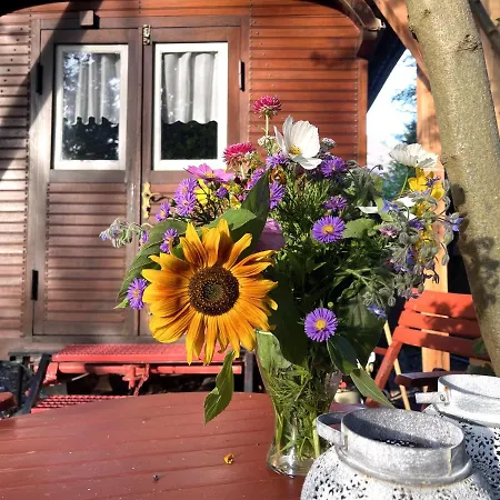 Luxuszelt Historischer Zirkuswagen Mit Terrasse Und Blick Ins Grüne *