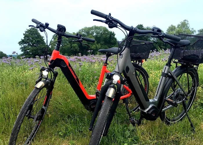 خيمة فخمة Historischer Zirkuswagen Mit Terrasse Und Blick Ins Gruene فِتْسِنهاوزن