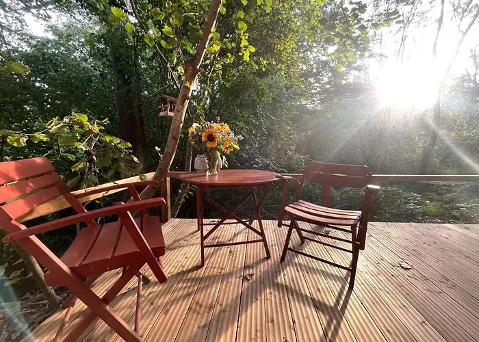 Historischer Zirkuswagen Mit Terrasse Und Blick Ins Gruene *