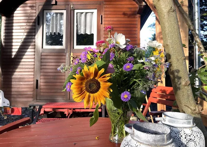 خيمة فخمة Historischer Zirkuswagen Mit Terrasse Und Blick Ins Gruene *