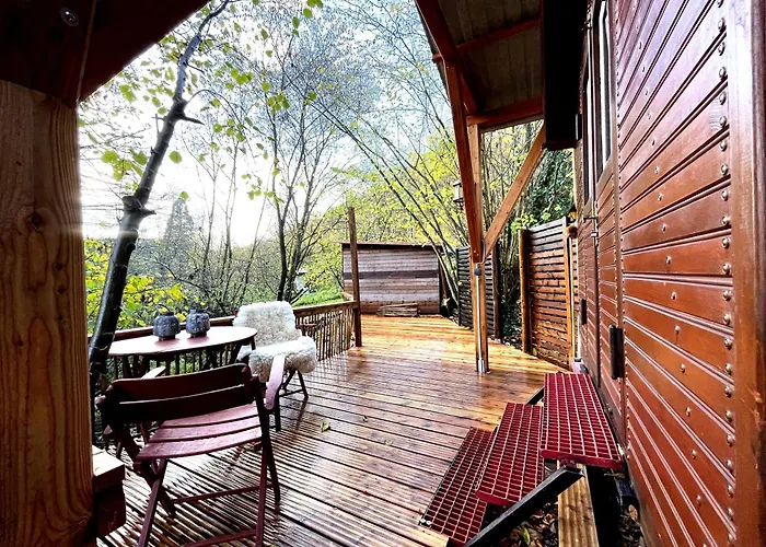 Historischer Zirkuswagen Mit Terrasse Und Blick Ins Gruene